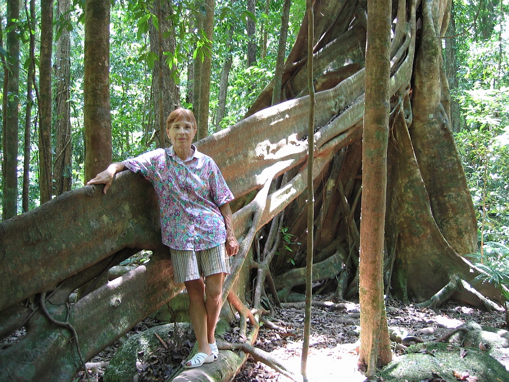 219 Mossman Gorge.jpg